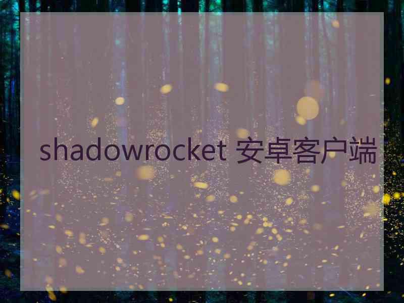 shadowrocket 安卓客户端