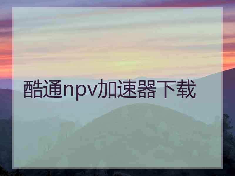 酷通npv加速器下载