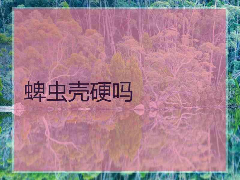 蜱虫壳硬吗