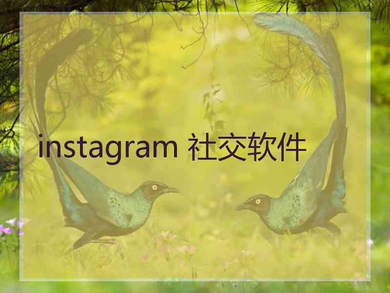 instagram 社交软件