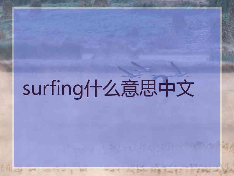 surfing什么意思中文