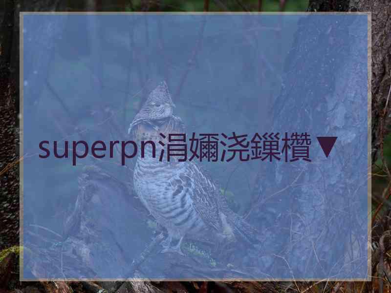 superpn涓嬭浇鏁欑▼