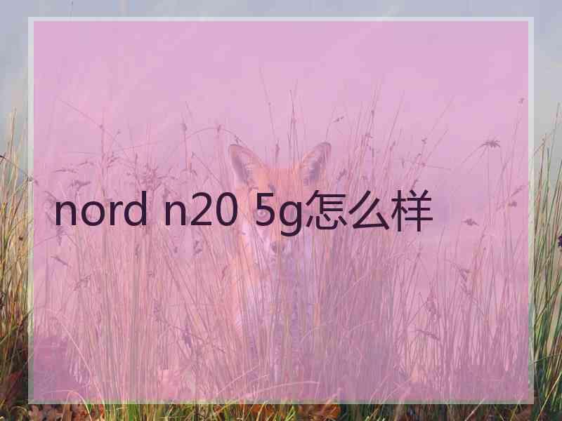 nord n20 5g怎么样