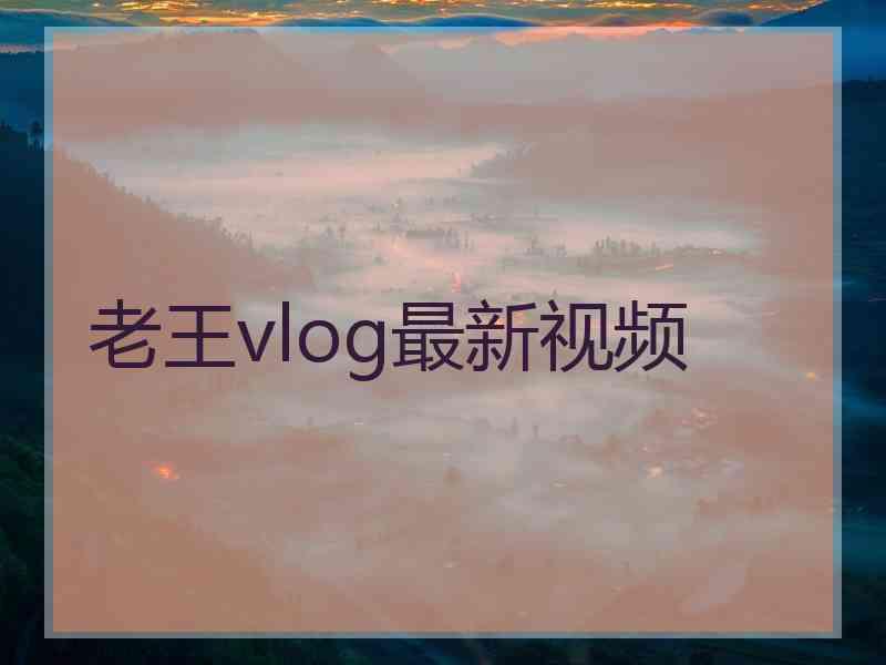 老王vlog最新视频