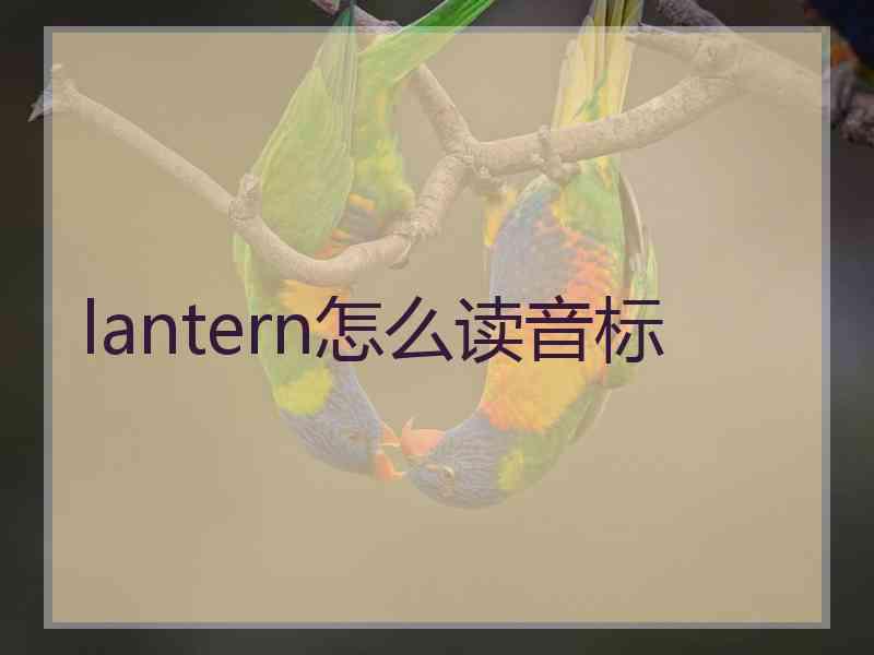 lantern怎么读音标