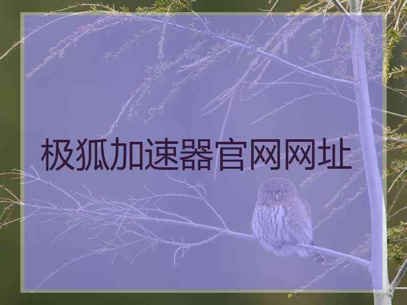 极狐加速器官网网址