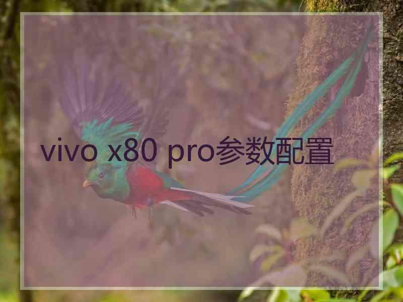 vivo x80 pro参数配置