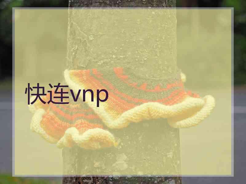 快连vnp