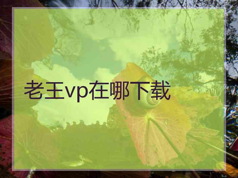 老王vp在哪下载