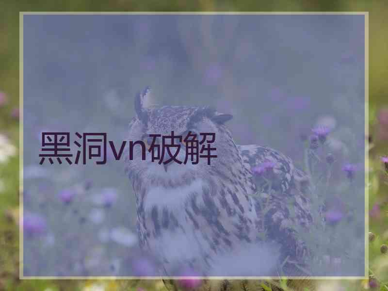 黑洞vn破解