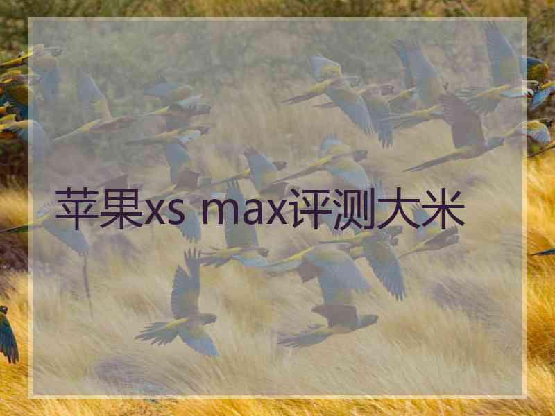 苹果xs max评测大米