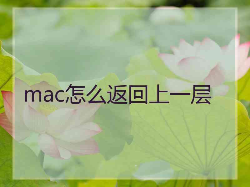 mac怎么返回上一层