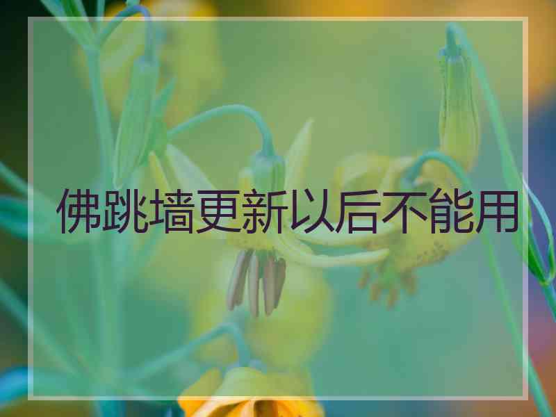 佛跳墙更新以后不能用