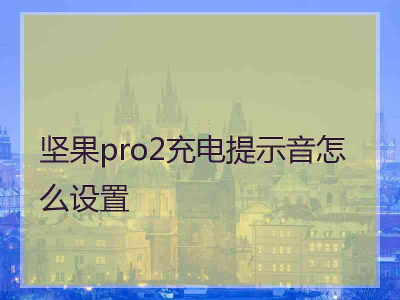 坚果pro2充电提示音怎么设置