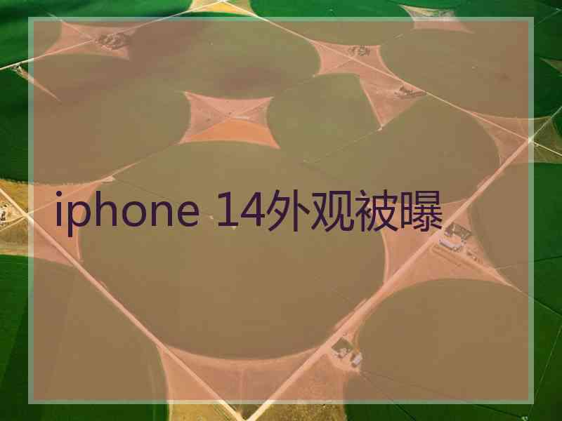 iphone 14外观被曝