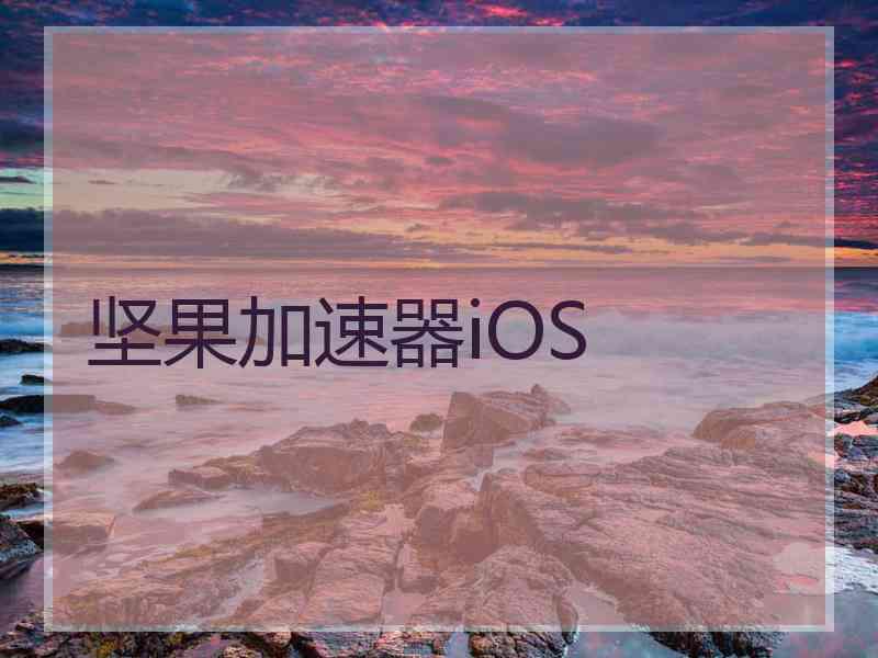 坚果加速器iOS