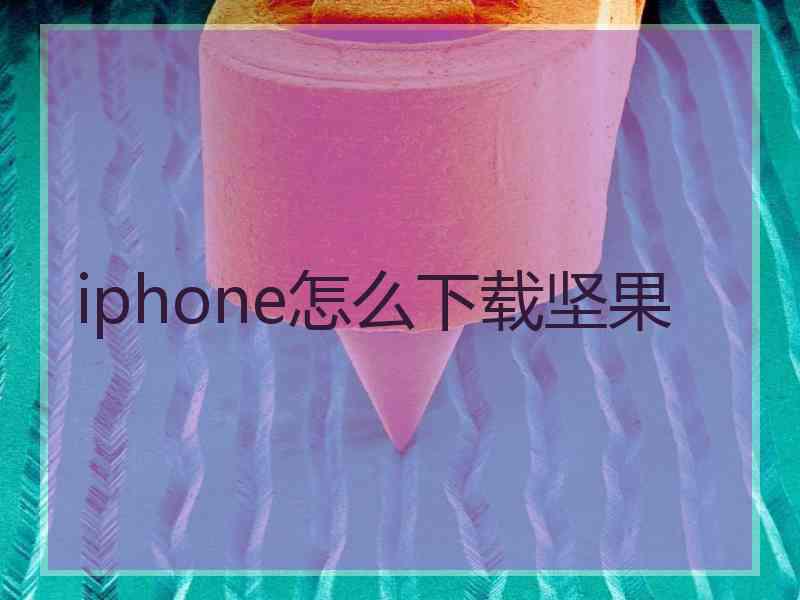 iphone怎么下载坚果