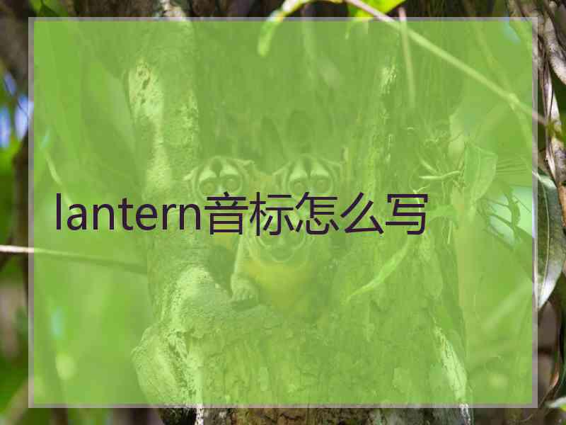 lantern音标怎么写