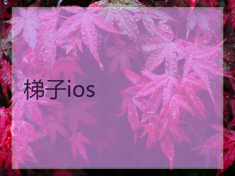 梯子ios