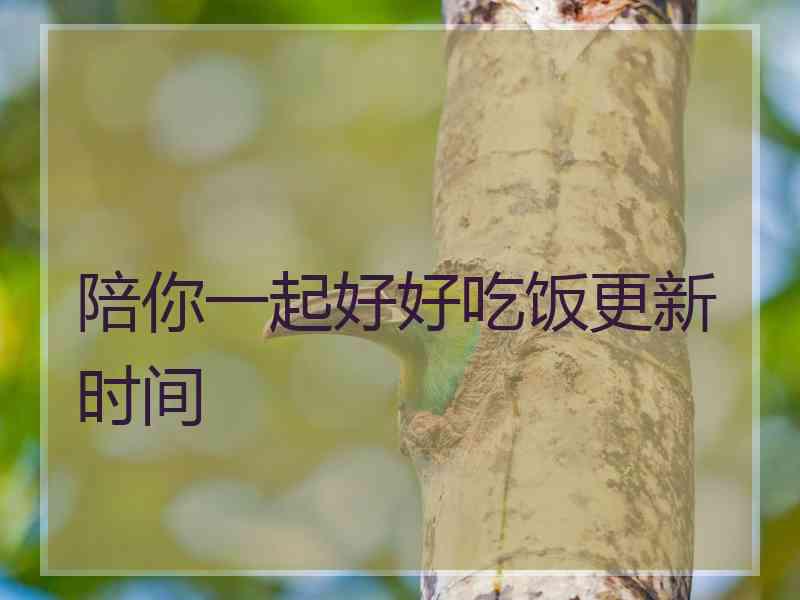 陪你一起好好吃饭更新时间