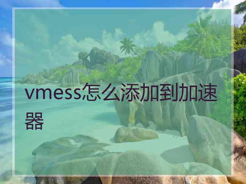 vmess怎么添加到加速器