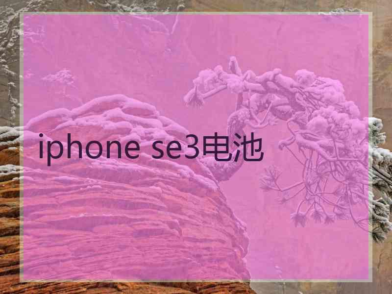 iphone se3电池