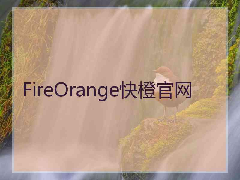 FireOrange快橙官网