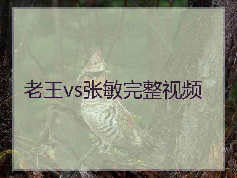 老王vs张敏完整视频