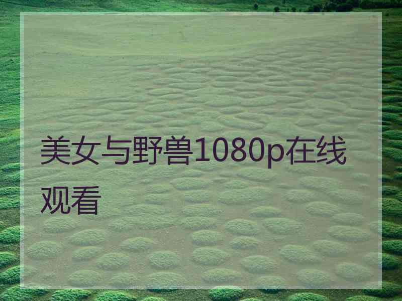 美女与野兽1080p在线观看