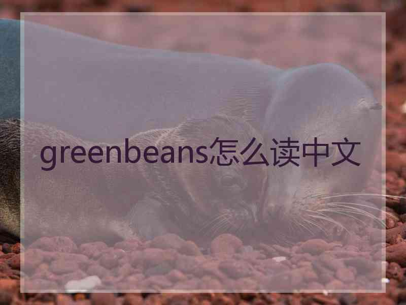 greenbeans怎么读中文