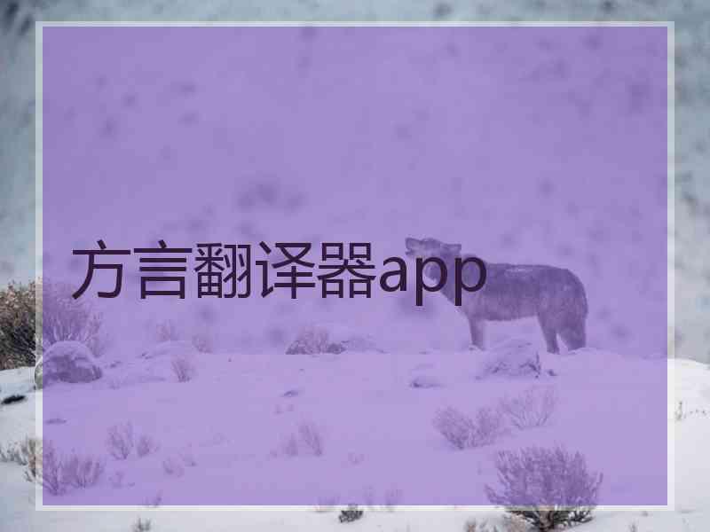 方言翻译器app