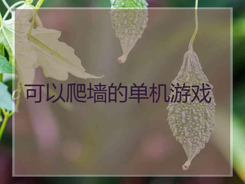 可以爬墙的单机游戏