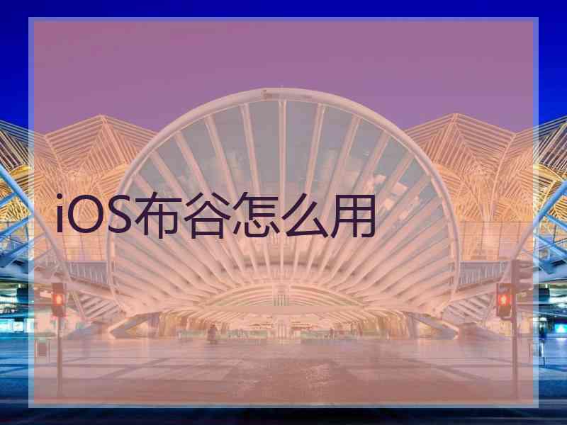 iOS布谷怎么用