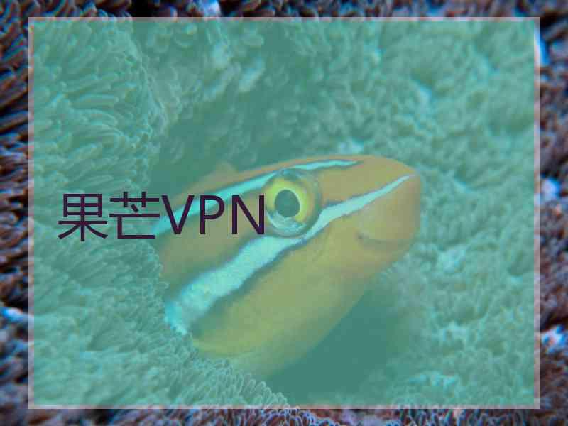 果芒VPN