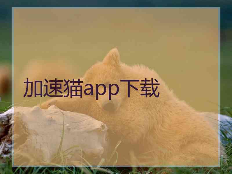 加速猫app下载