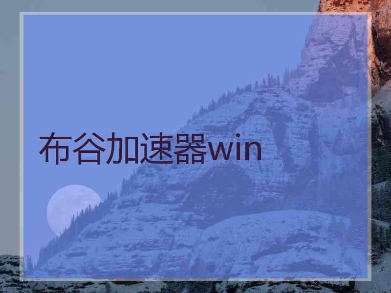 布谷加速器win