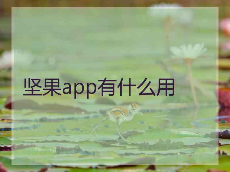 坚果app有什么用