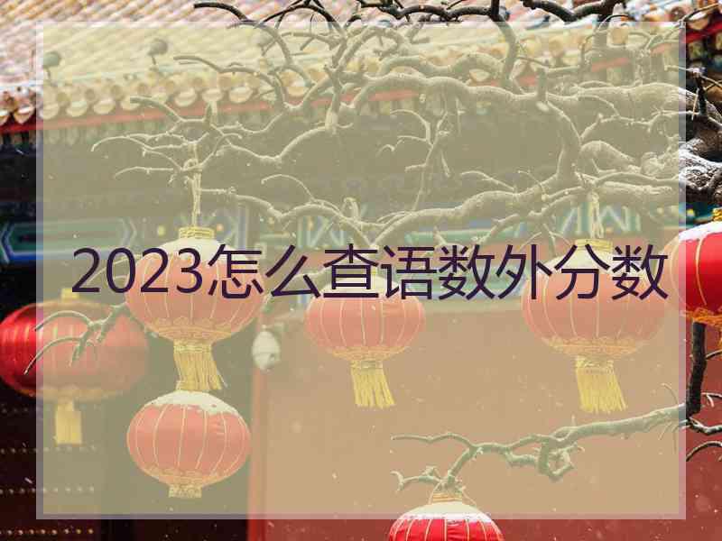 2023怎么查语数外分数