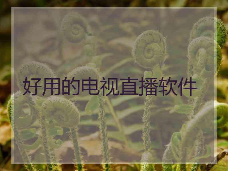 好用的电视直播软件