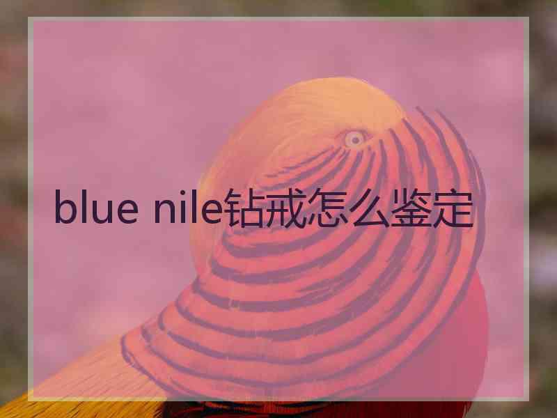 blue nile钻戒怎么鉴定