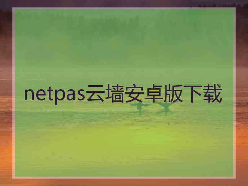 netpas云墙安卓版下载