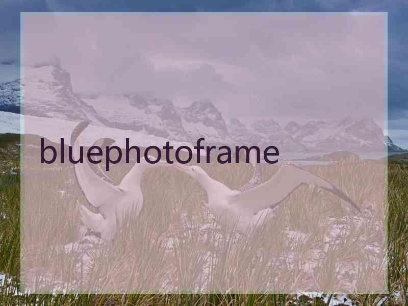 bluephotoframe