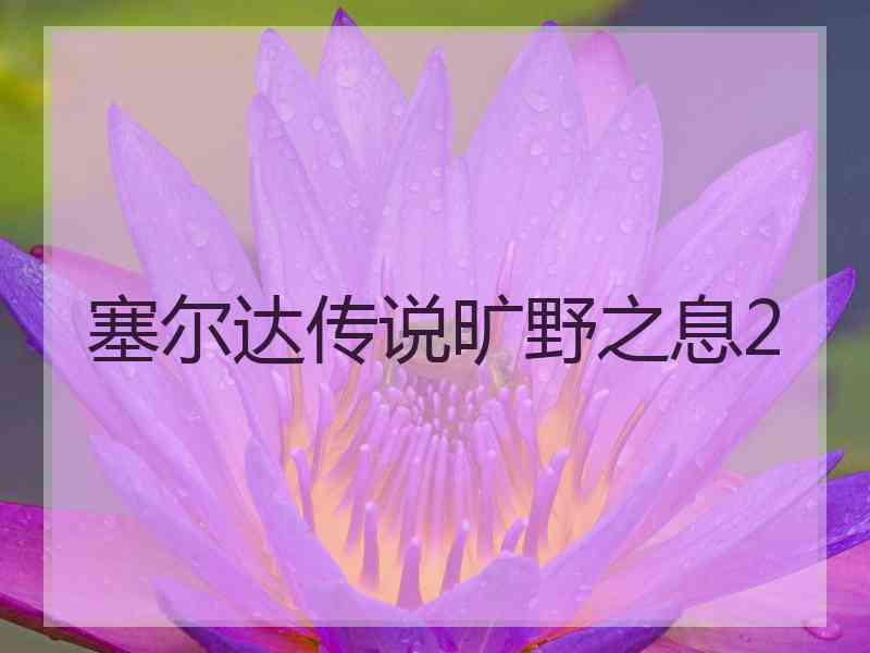 塞尔达传说旷野之息2