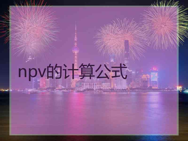 npv的计算公式