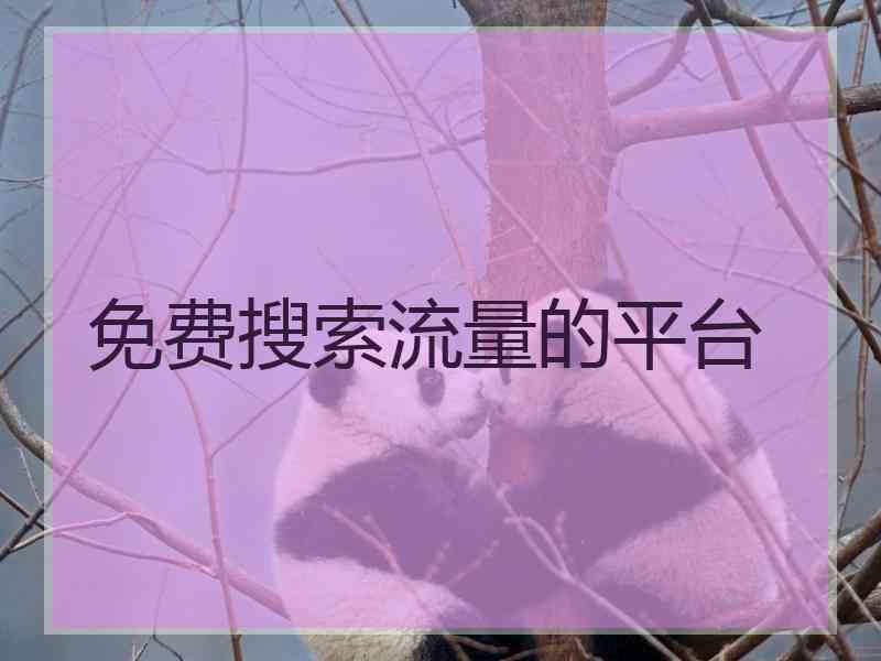 免费搜索流量的平台