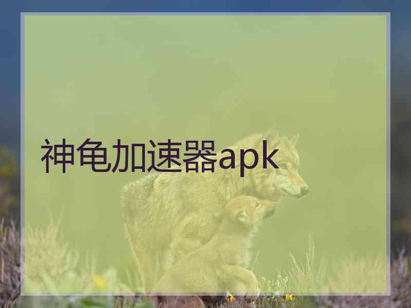 神龟加速器apk