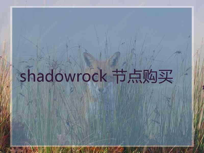 shadowrock 节点购买