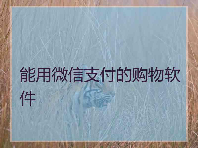 能用微信支付的购物软件