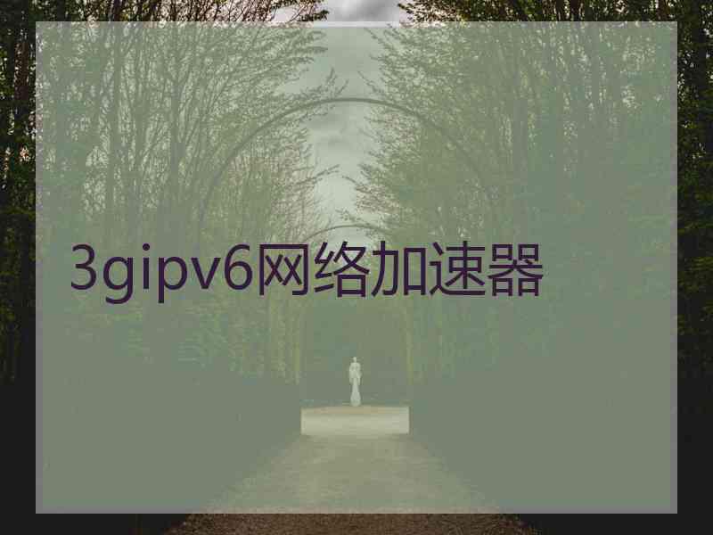 3gipv6网络加速器