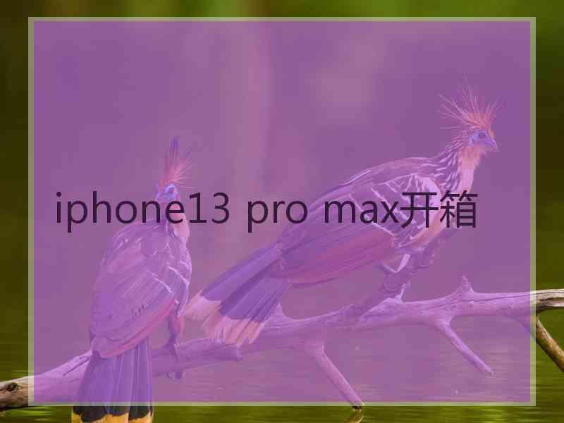 iphone13 pro max开箱